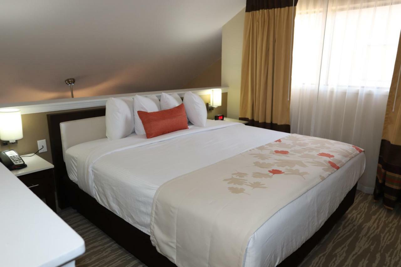 Hawthorn Suites By Wyndham Detroit Southfield Exteriör bild